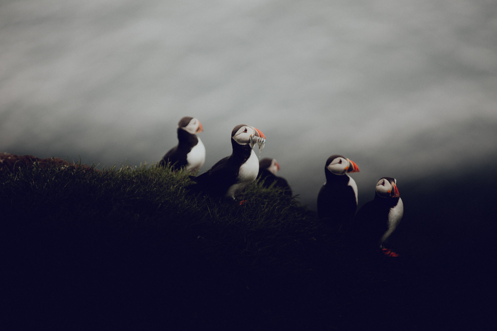 Faroe Islands