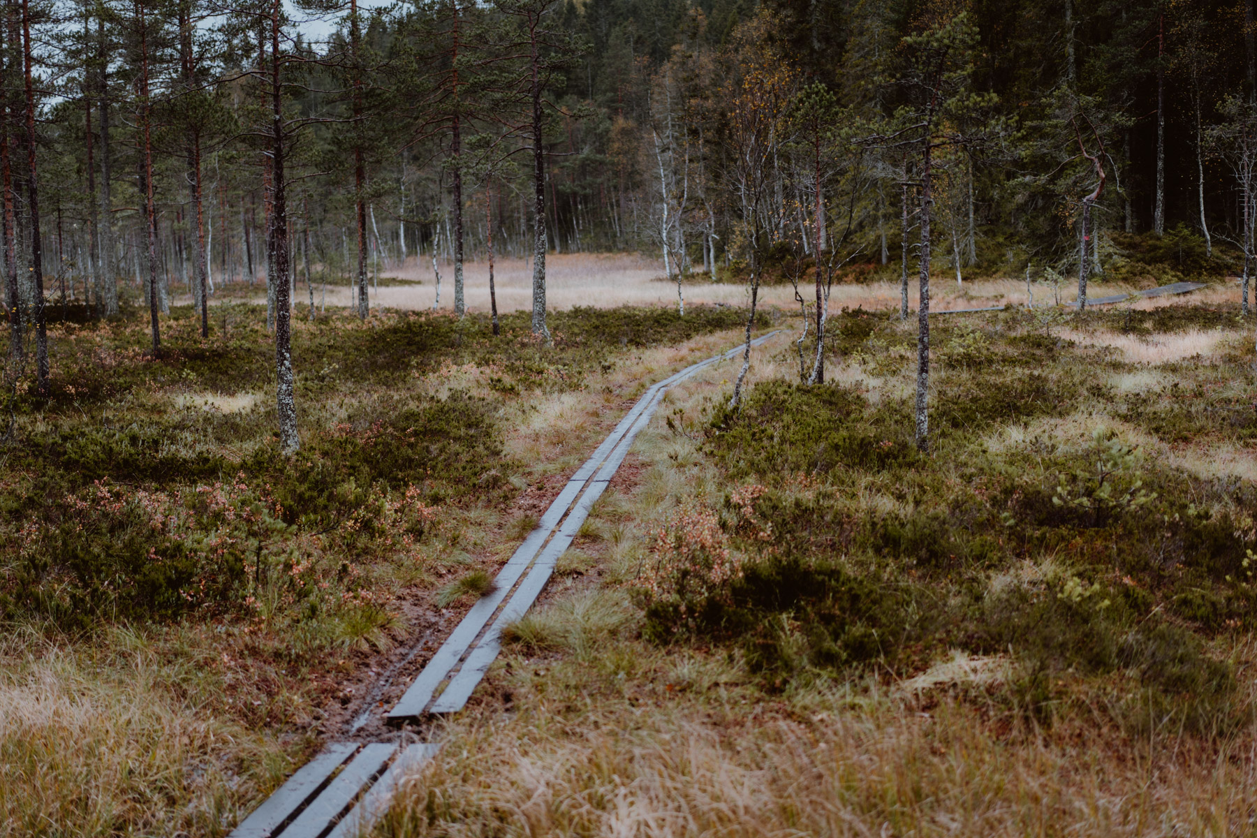 Oslo Norway